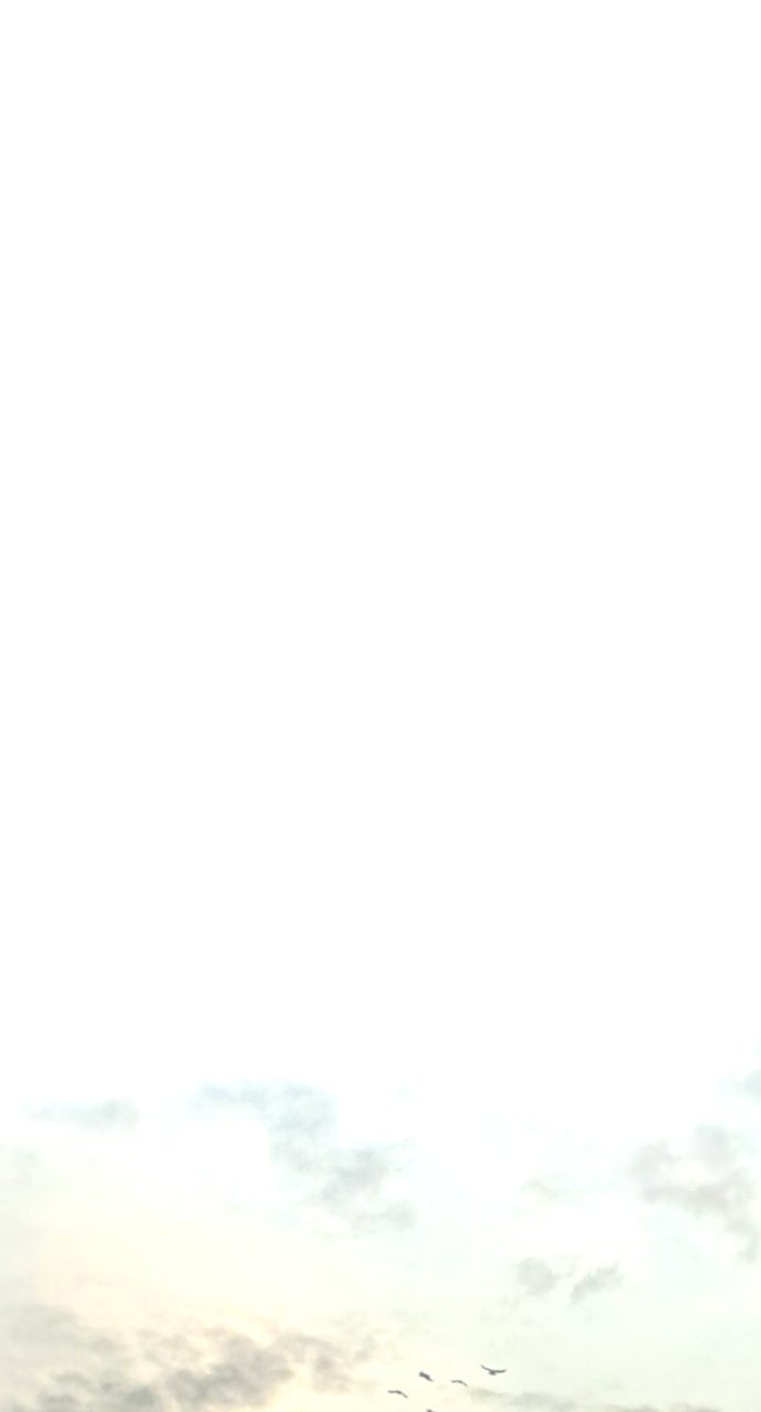 Heavenly Demon Cultivation Simulation - Chapter 121 Page 52