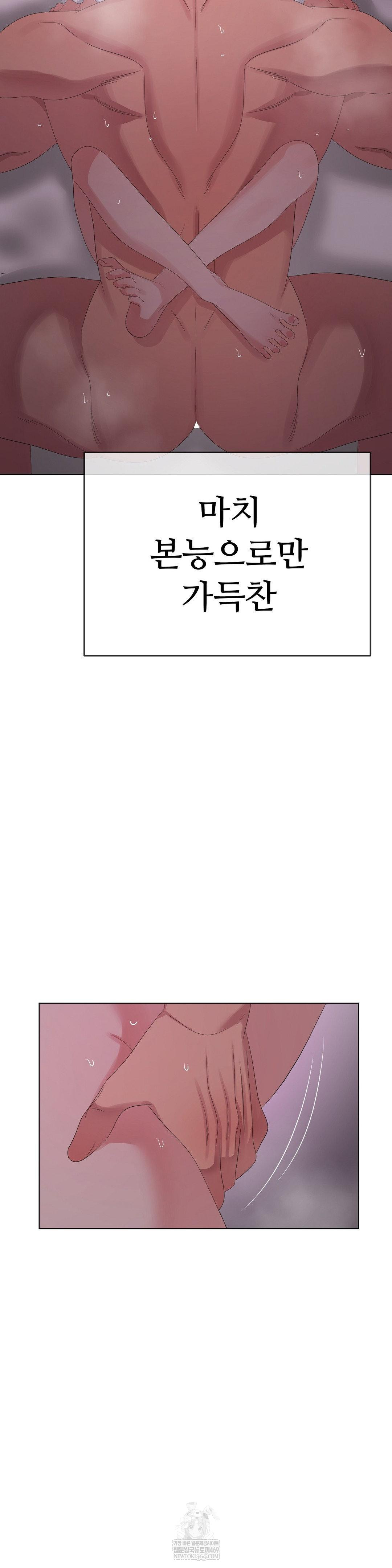 Beast Cub Raw - Chapter 30 Page 30