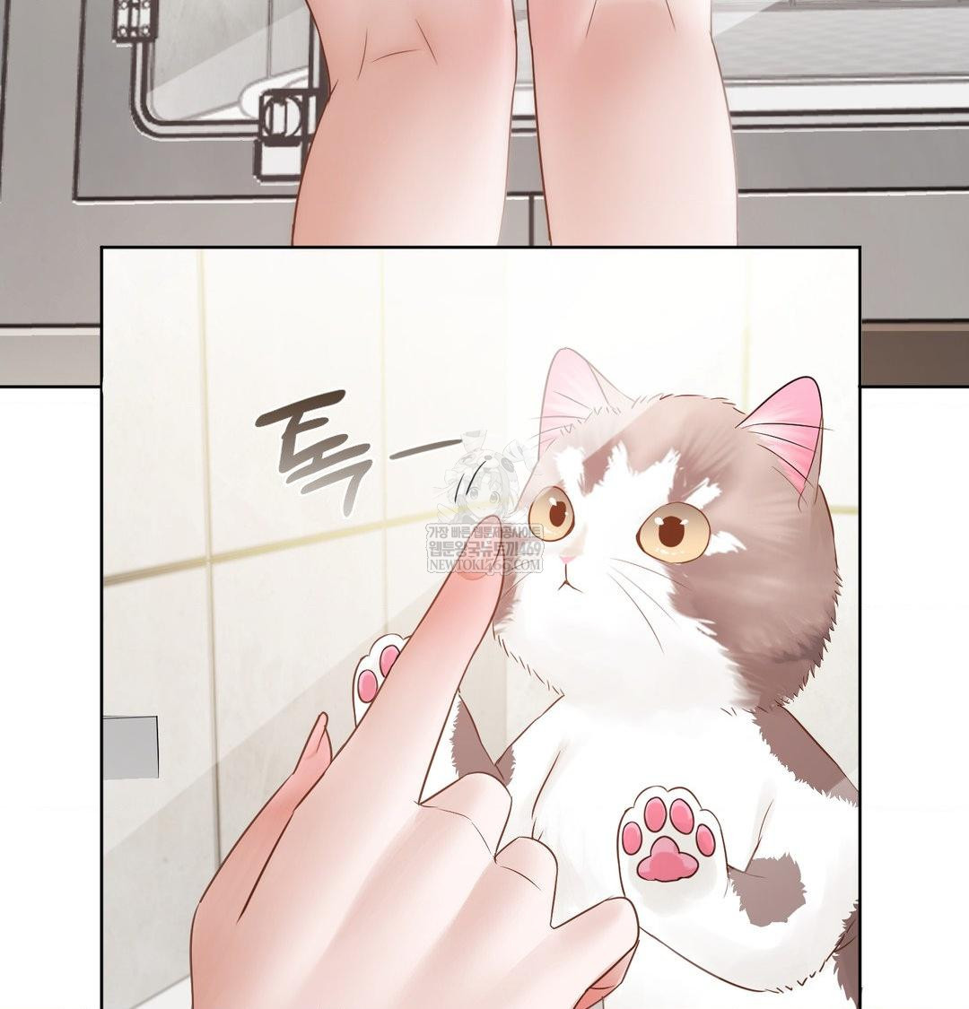 She Recommends a Harem Raw - Chapter 33 Page 41