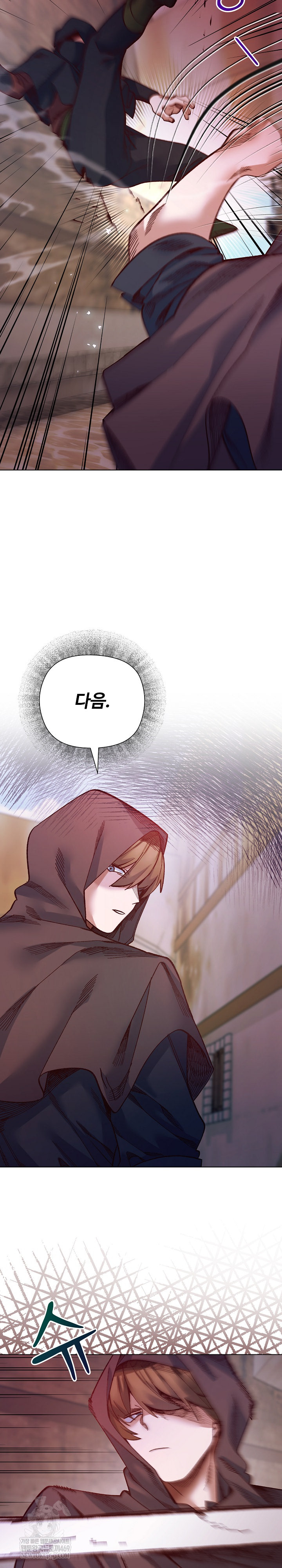 I Will Protect the Lady Raw - Chapter 36 Page 17