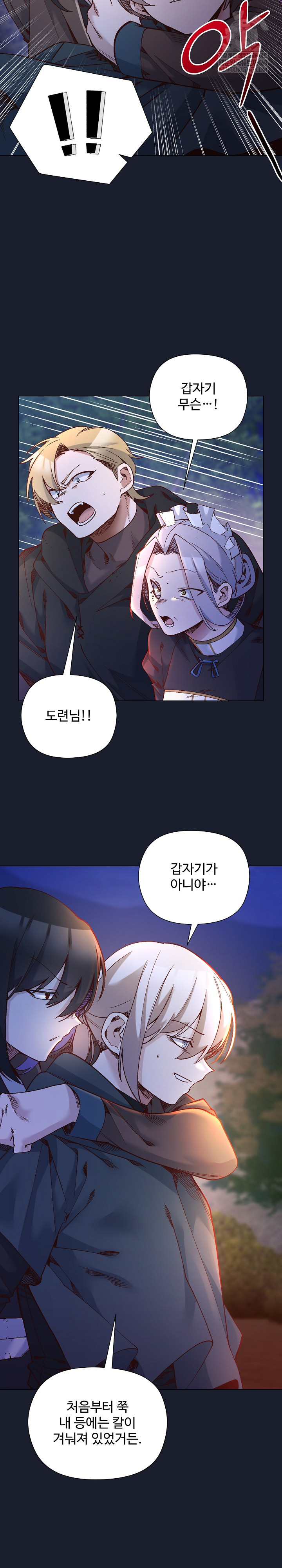 I Will Protect the Lady Raw - Chapter 53 Page 30