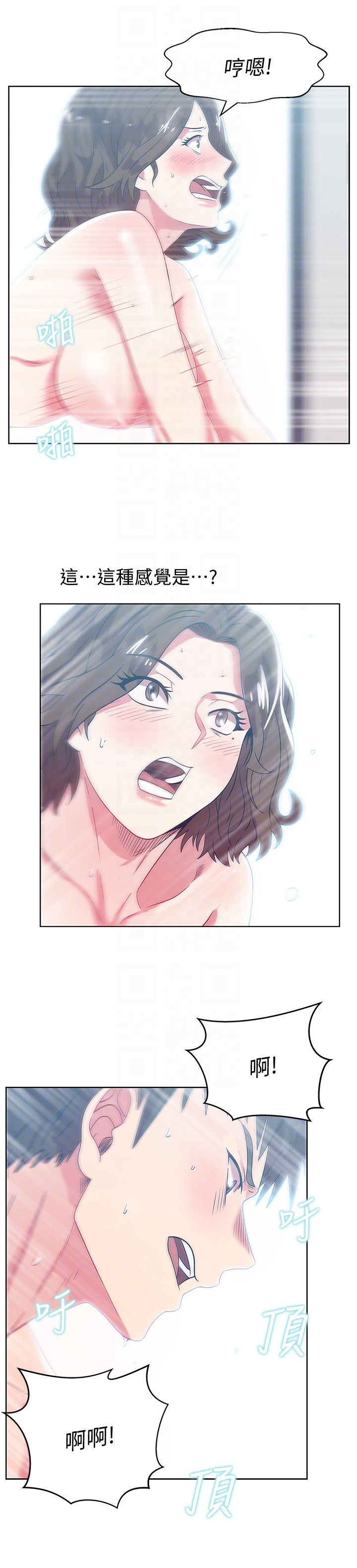Wife