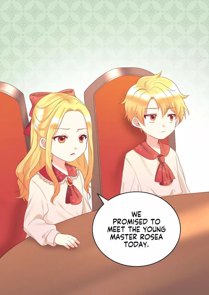 The Twin Siblings