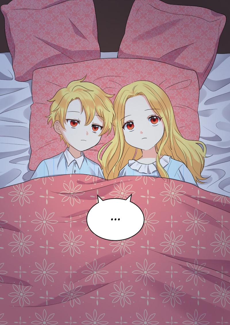 The Twin Siblings