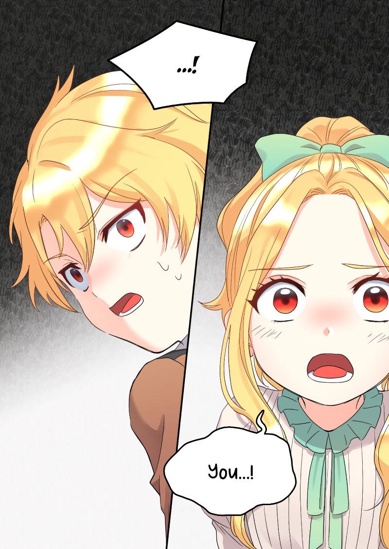 The Twin Siblings