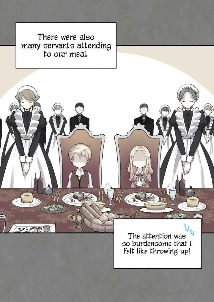 The Twin Siblings