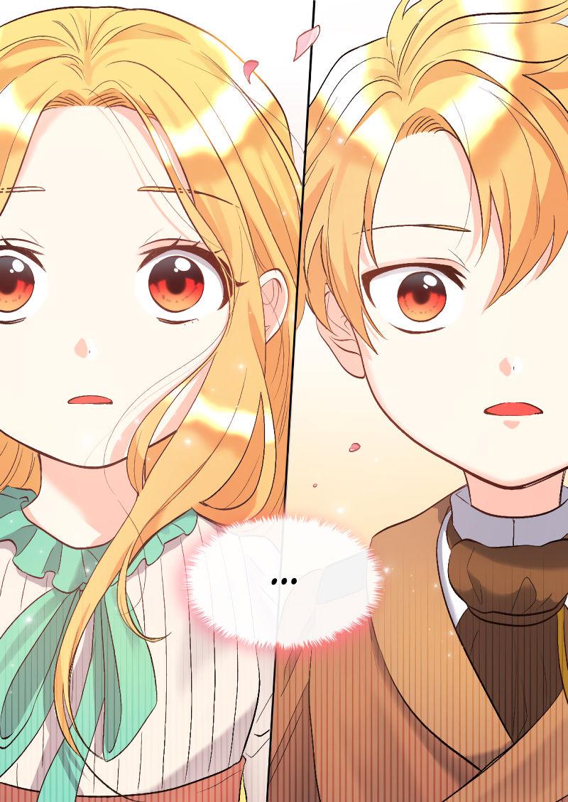 The Twin Siblings