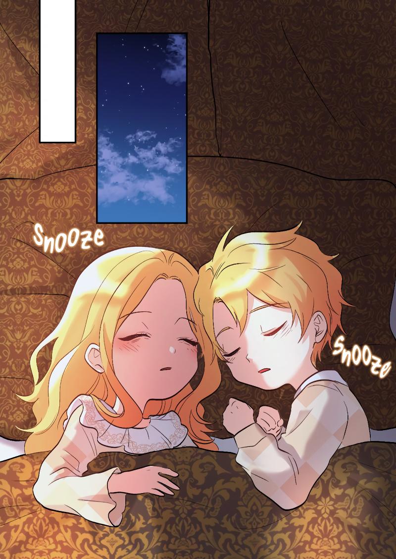 The Twin Siblings