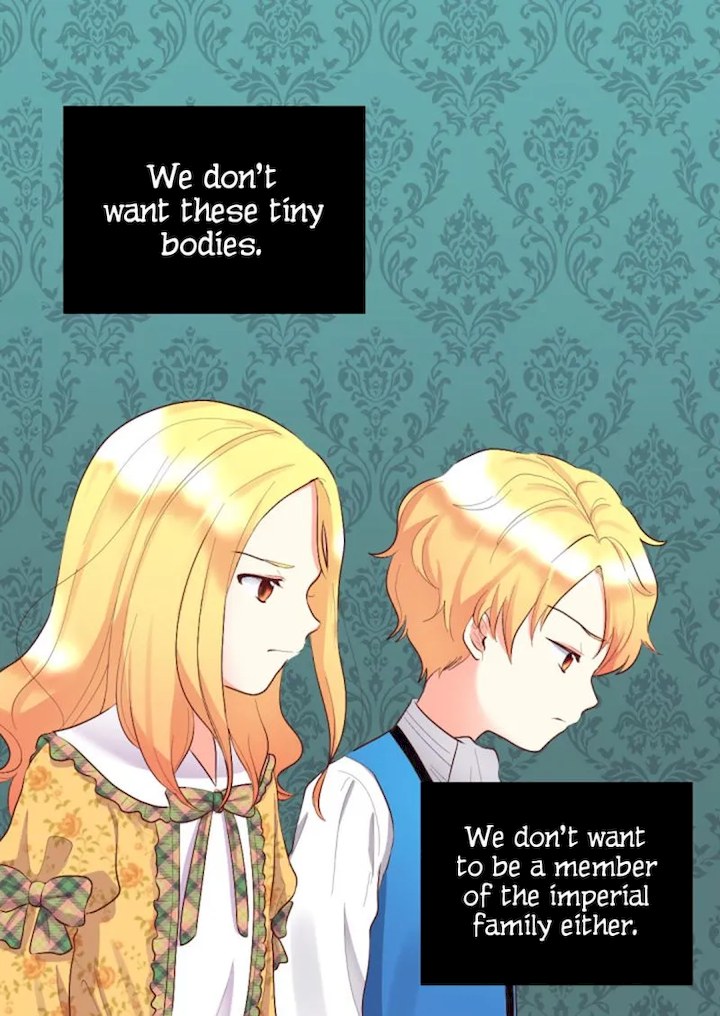 The Twin Siblings