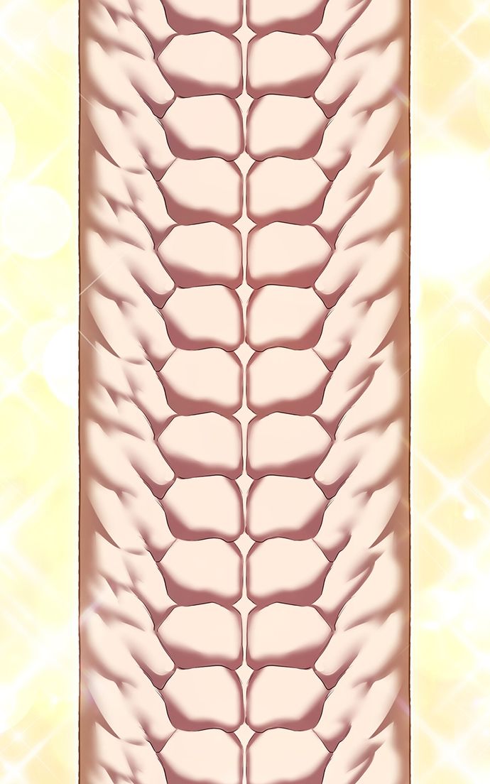 +99 Wooden stick - Chapter 131 Page 59