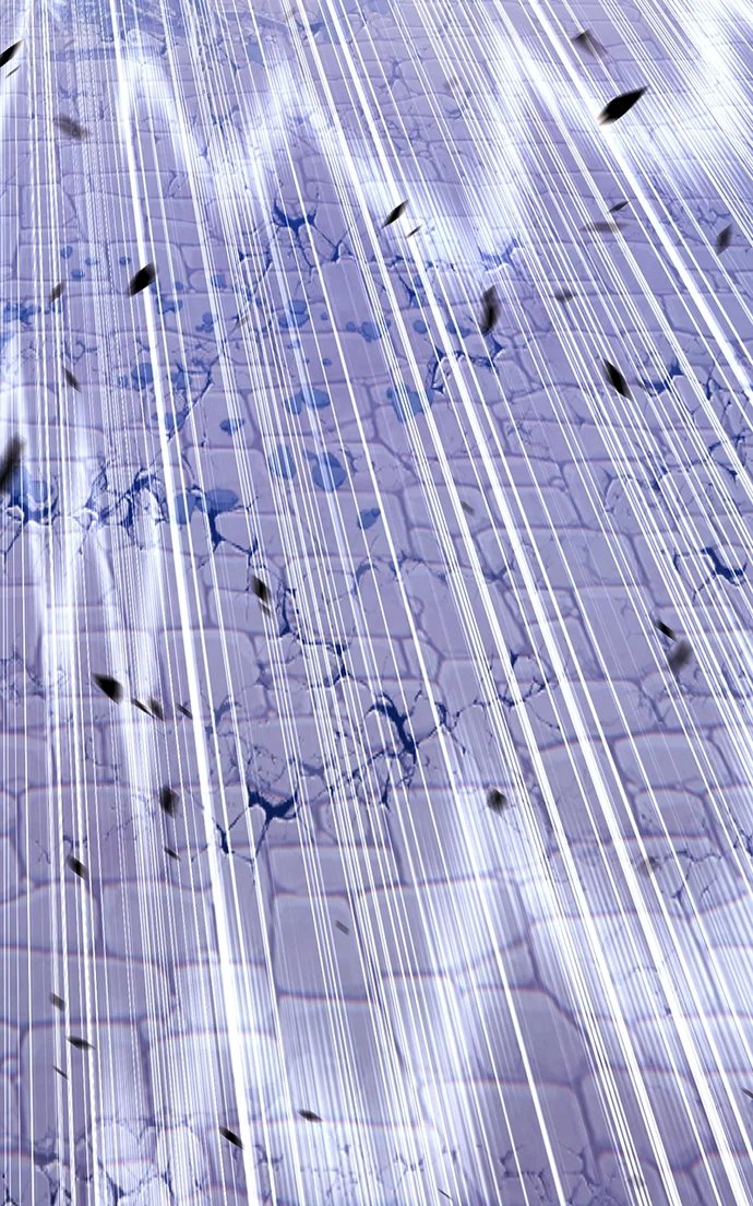 +99 Wooden stick - Chapter 147 Page 112