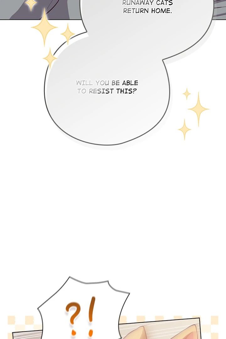 The General Is Here! - Chapter 33 Page 65