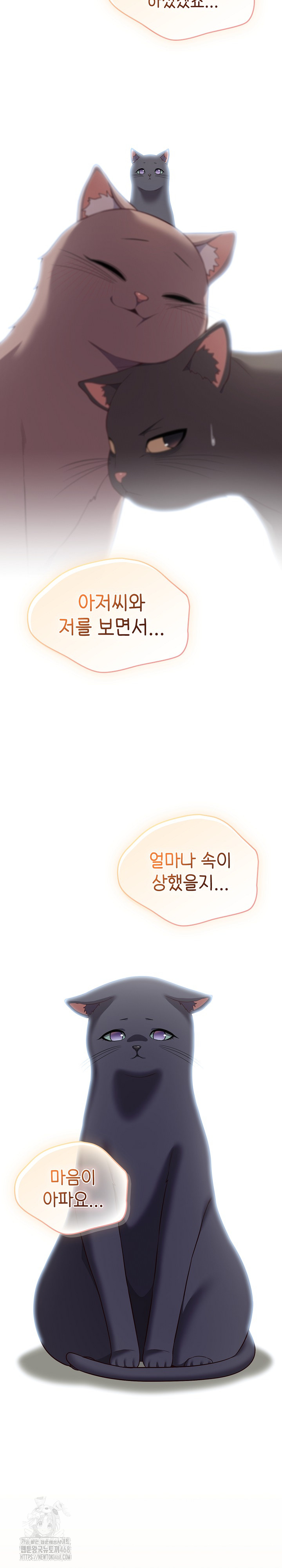 The General Is Here! Raw - Chapter 46 Page 9