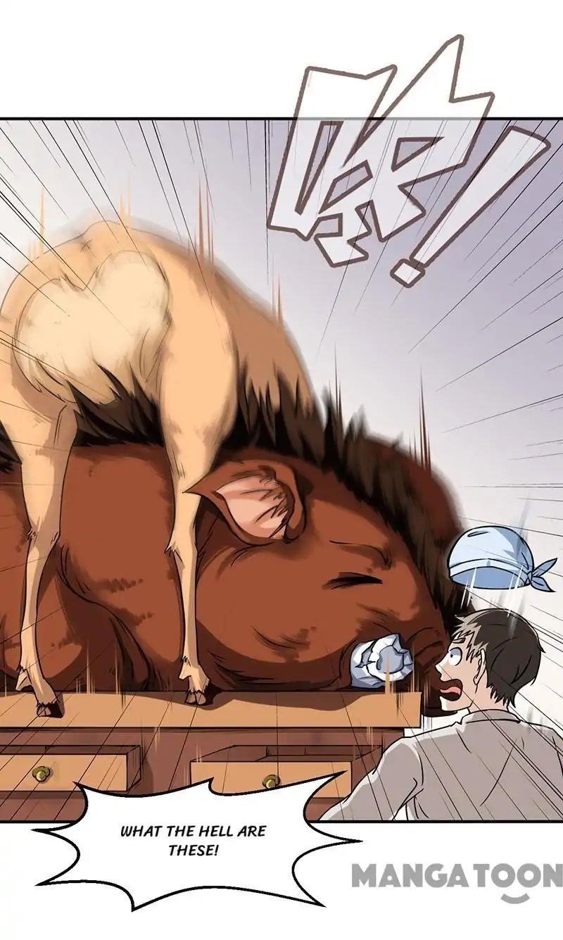 Martial Arts Reigns - Chapter 11 Page 14