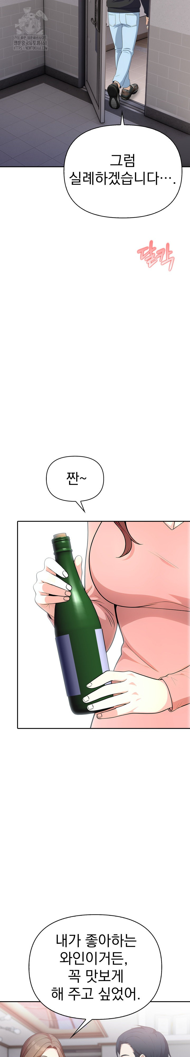 My Secret With My Auntie Raw - Chapter 11 Page 17