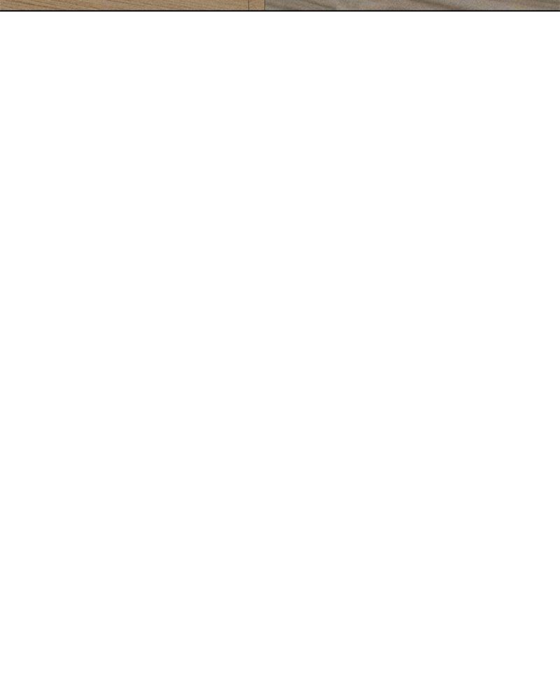 Solo Spell Caster - Chapter 186 Page 117